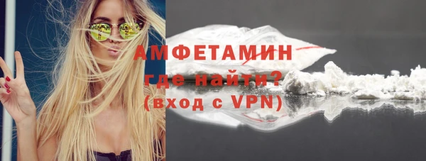 ГАЛЛЮЦИНОГЕННЫЕ ГРИБЫ Богданович