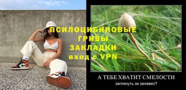 2c-b Белокуриха