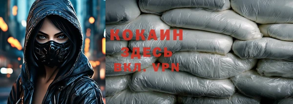 стафф Бородино